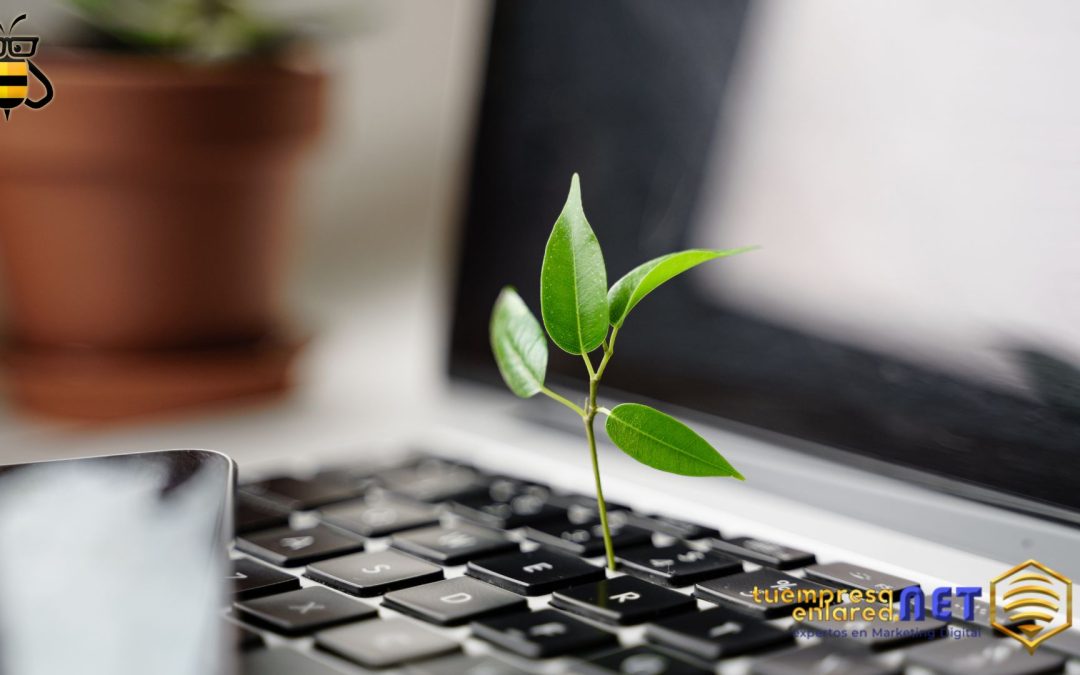 Marketing verde y sostenibilidad: cómo conectar con el consumidor consciente